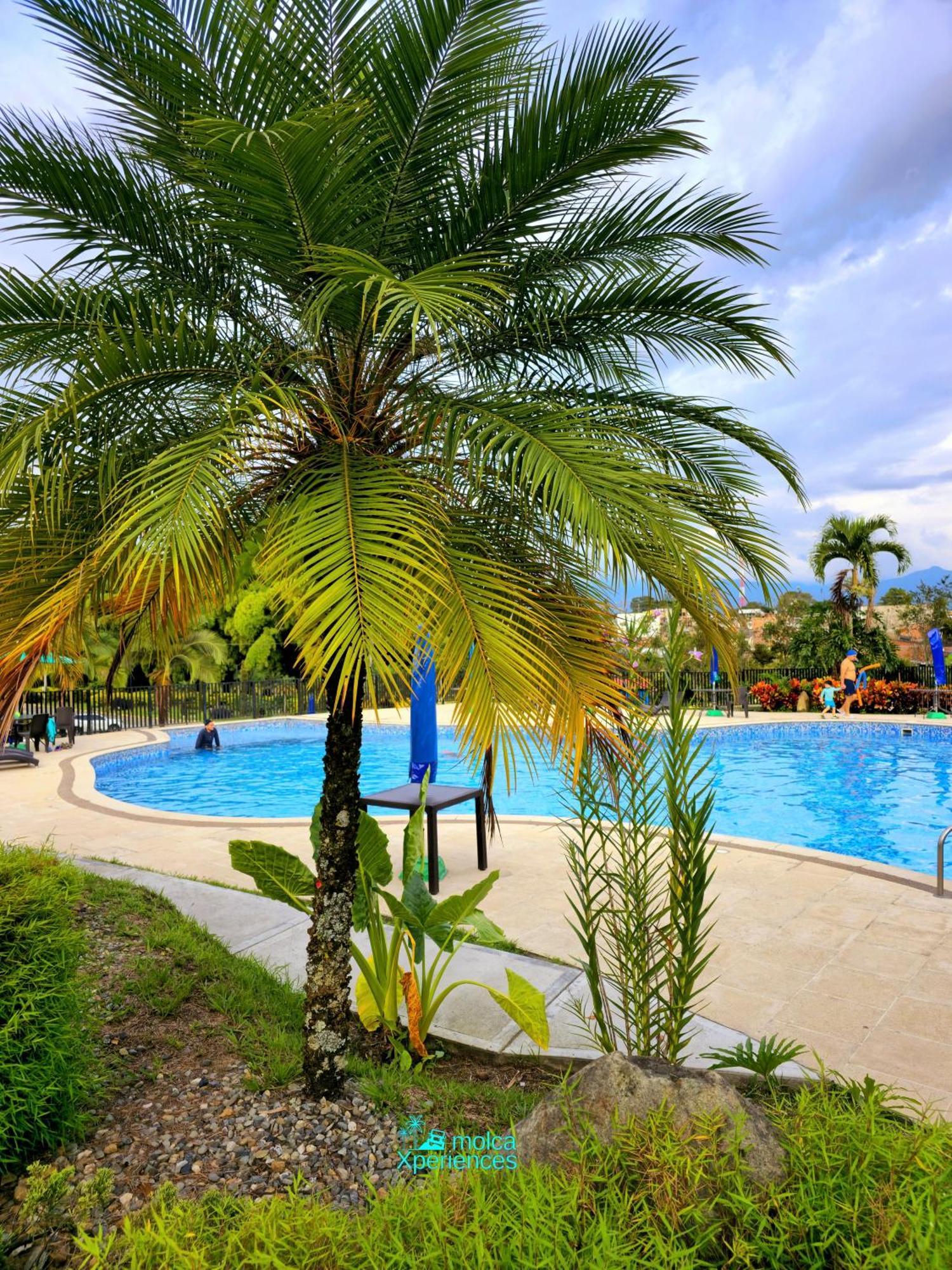 Apartamento Privado Vacacional A 5M Del Aeropuerto, 20 Minutos Del Parque Del Cafe Y Centro De Armenia Con 4 Piscinas, 3 Jacuzzi, Sauna By Molca Xperiences 3H Exterior foto